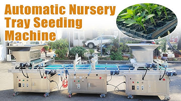 Fully Automatic Nursery Tray Seeding Machine - Efficient and Precise Seed Starting Solution#seeding