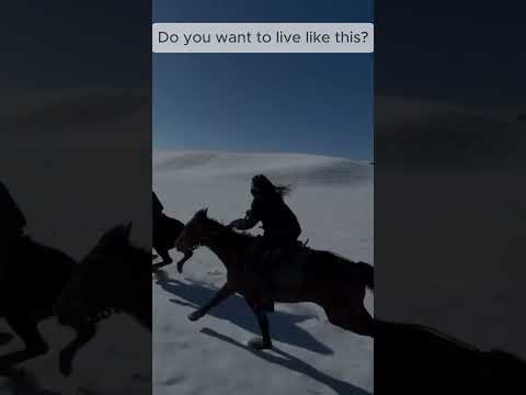 Descubre cómo funciona el bono de casino 1win y empieza a jugar en línea en Chile