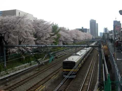 桜と電車その1