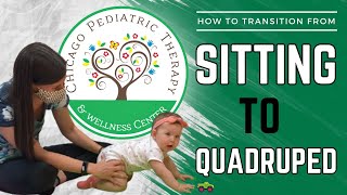 Sitting To Quadruped For Babies