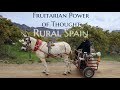 Fruitarian power of thought telepathic fruit delivery in the mountains of rural andalucia spain
