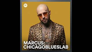Chicago Blues Lab feat. Marcus Cole | The Soul You Carry Home - Smoky Room Acoustic Music