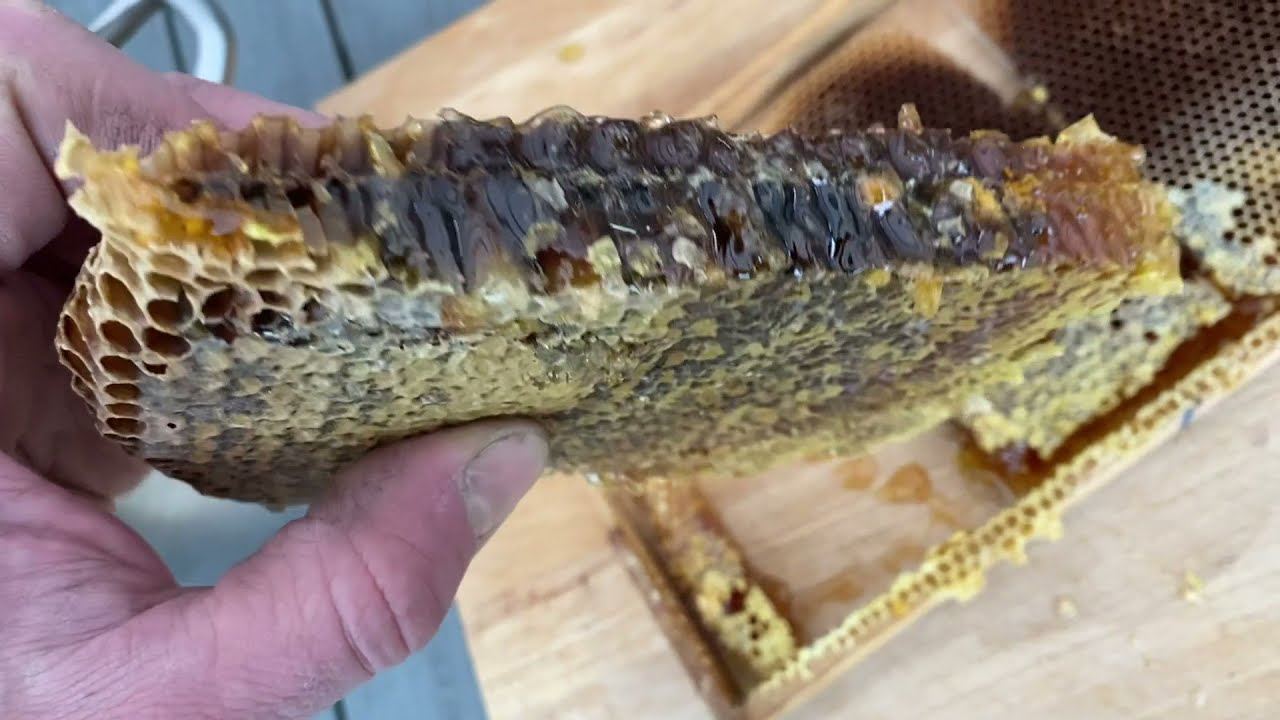 Ну очень вкусная брага из меда!!!