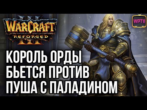 Видео: КОРОЛЬ ОРДЫ ПРОТИВ ПУША С ПАЛАДИНОМ: Warcraft 3 Reforged