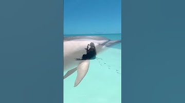 Thumbnail of Singing with a remote island in the Pacific Ocean  #shorts #musicmedicine #planetarywisdom