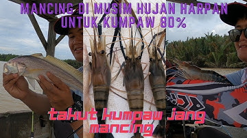 MEMANCING Udang GALAH Di Musim Hujan || Sungai Rubana Teluk intan perak