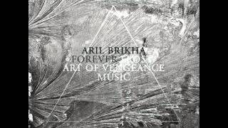 Aril Brikha - Tundra [320k]