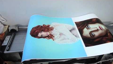 Epson Stylus Pro 7900 + Hahnemuehle Photo Rag Pearl