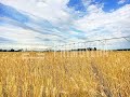 Tarnetgaronne  magnifique exploitation cralire de 126ha avec maison et btiment