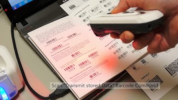 Cino Using Bluetooth Pocket Scanner to do Batch Scanning iOS and Android devices