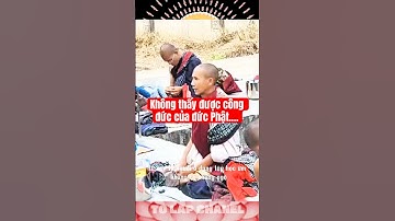 Không thấy được công đức của đức Phật.... #thichminhtue #suminhtue #shortvideo #videoshort #xuhuong