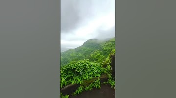 this weather ✨। aesthetic status। WhatsApp status। status video #shorts #status