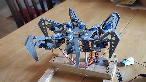 Hexapod servo test 2