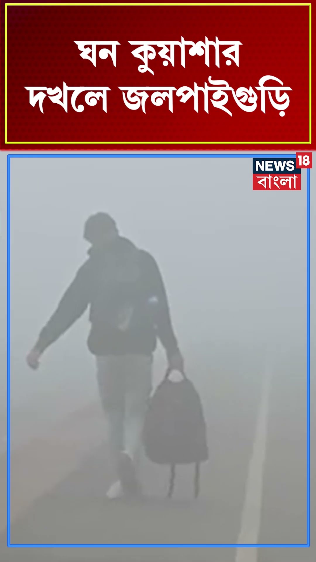 ঘন কুয়াশার দখলে Jalpaiguri ! #shorts