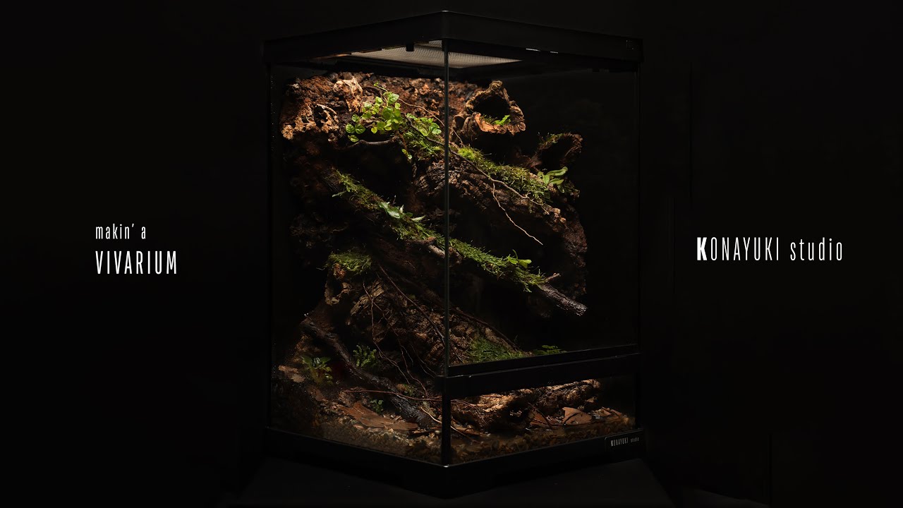 낮은 수심의 코르크튜브 비바리움 만들기! making a vivarium