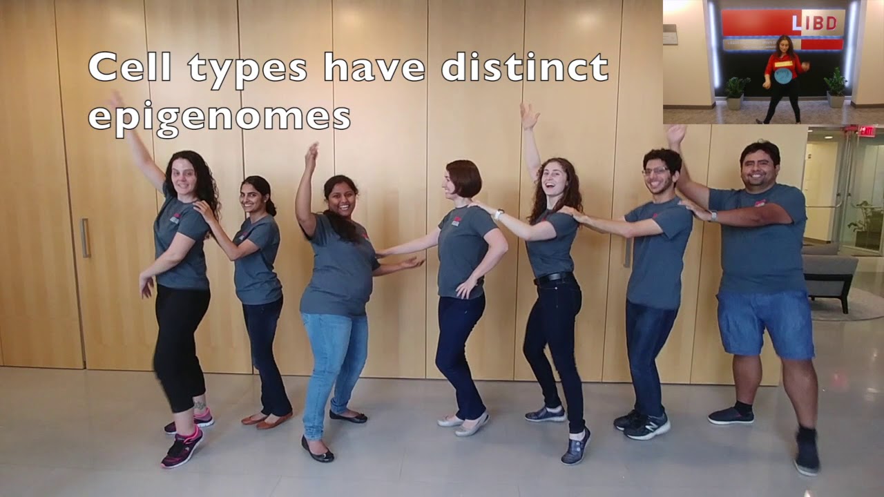 Dance Your PhD 2017 Brain Development and the Epigenome YouTube