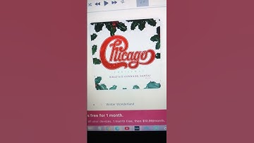 Chicago Apple Music Animated Art Part 6