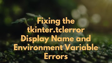Fixing the tkinter.tclerror Display Name and Environment Variable Errors