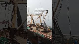 Bongkar kalamar cumi trowl Korea Agnes