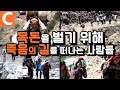 6개월치 월급을 두 달 만에 벌 수 있는 길. 야차굼바를 채취하기 위해 목숨