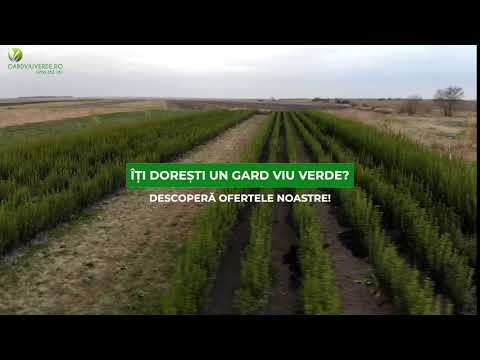 Gard Viu Verde - Plante disponibile direct de la producător