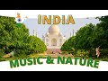 Harmony of india 1 hour of peaceful music amidst garden splendor