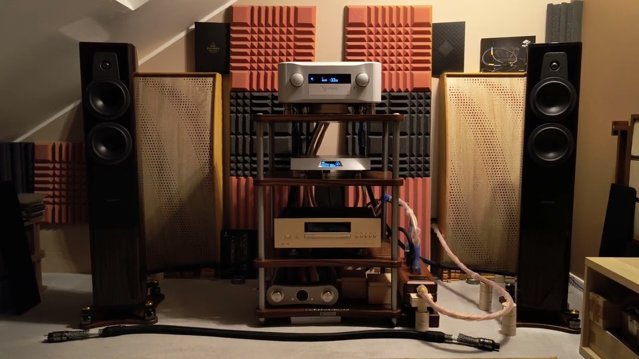 Esoteric F01 Lumin T2 Dynaudio Contour 30 #109