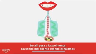 Mal olor de boca · Prueba estos remedios caseros - IMED Dental