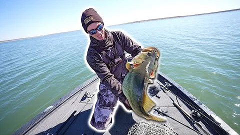 BASS MADNESS The Most LEGENDARY Day Of Fishing -- 3 Double Digit Bass In ONE DAY!