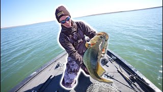 BASS MADNESS The Most LEGENDARY Day Of Fishing  3 Double Digit Bass In ONE DAY!