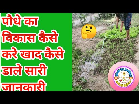 वीडियो: पौधों का विकास कैसा था