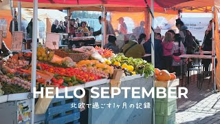 Mein September-Tagebuch | Ein Monat mit den finnischen Herbstblättern screenshot 5