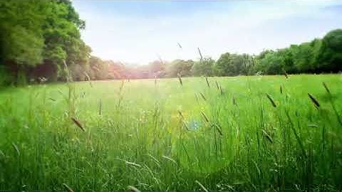 Ngày lộng gió" Nhạc Thư Giãn Cực Hay☁Nhạc piano yên bình để thư giãn I Windy Day