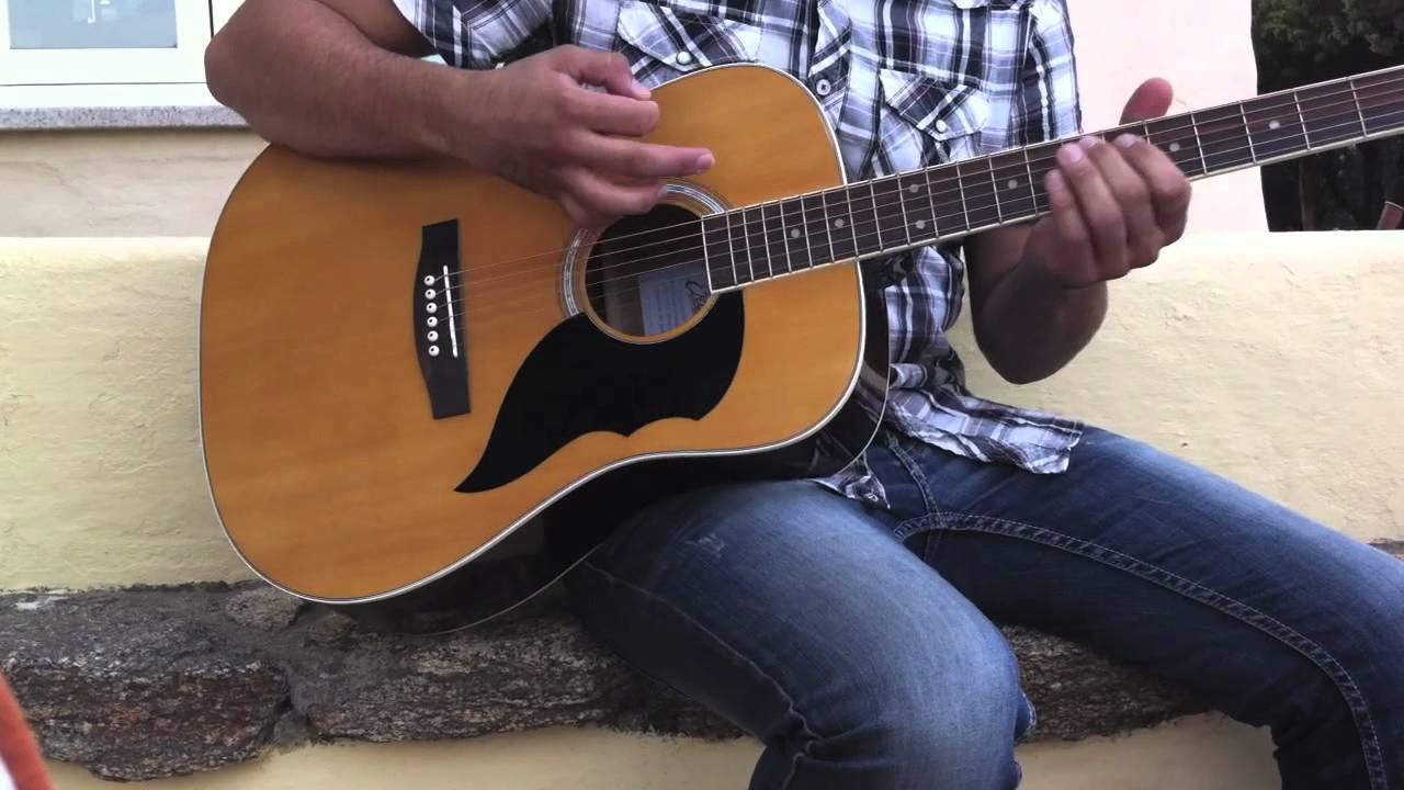 Eko guitars usa