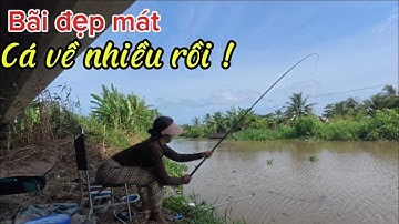 Bãi câu cá dưới chân cầu sông tự nhiên có nhiều  Hugo về lên thở thấy ham / Oanh vlog