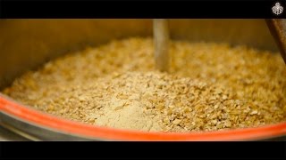 Рецепт приготовления пшеничного пива