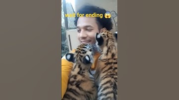 😱 viral tutorial ai 🐯 filter trend shorts #viral #ai #toturial #shorts