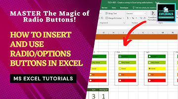 How to Use Radio Buttons in Excel - Add Radio Button in Excel | Options Button