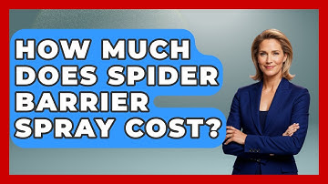 How Much Does Spider Barrier Spray Cost? - Insects and Invaders