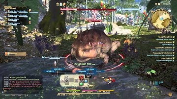 FINAL FANTASY XIV: A Realm Reborn Walking Around