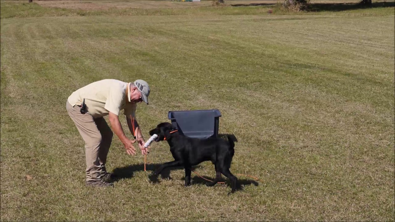 Bill Hillmann teaching back to home plate for duck blind and tree stands with Watermarks Awesome Buc