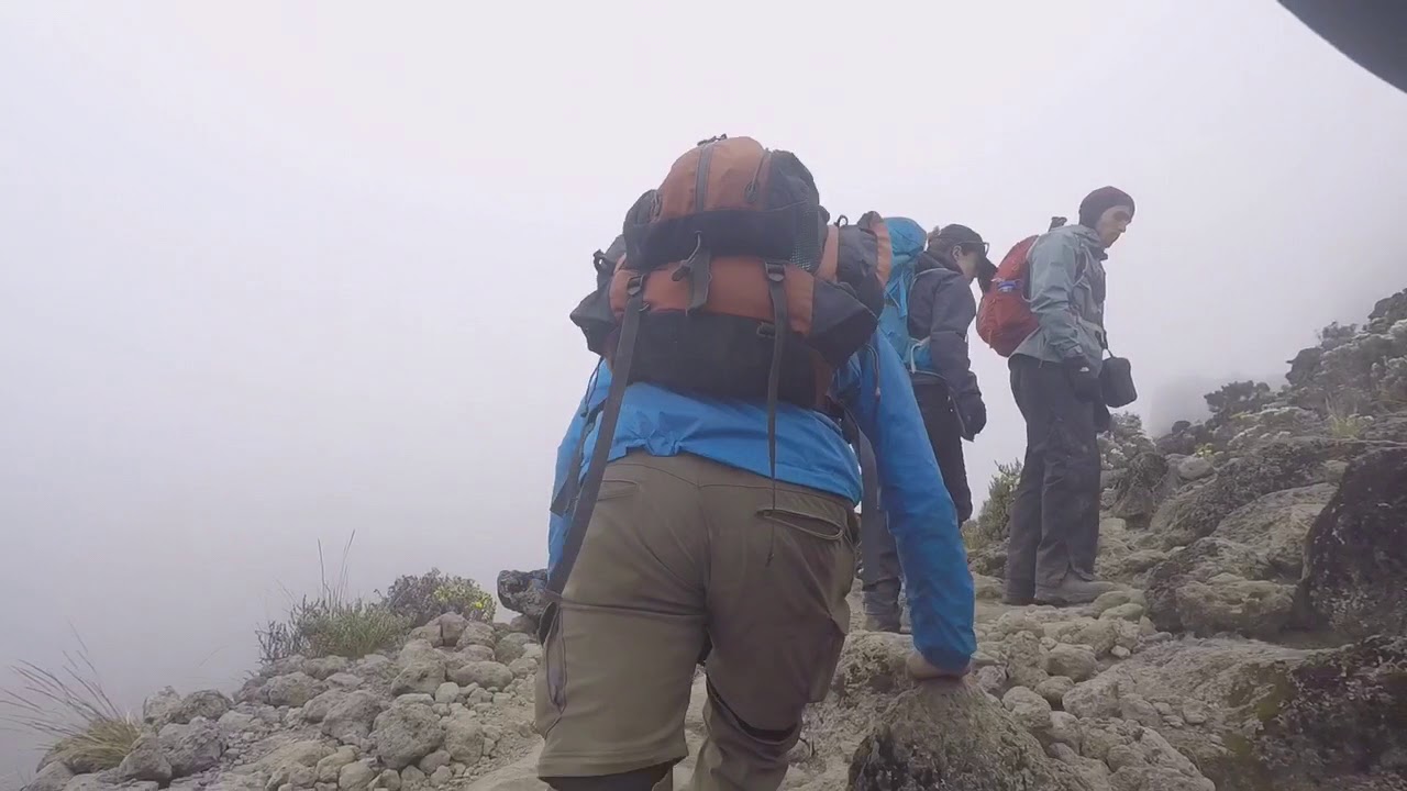 Kilimanjaro Lemosho Route Climbing The Barranco Wall On Mount Kilimanjaro