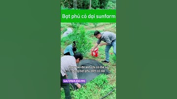 Bạt phủ diệt cỏ dại #sunfarm #batphucodai #batchongcodai #batphuco