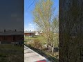 Where in the World Are We? | Spot the Dot pt. 1399