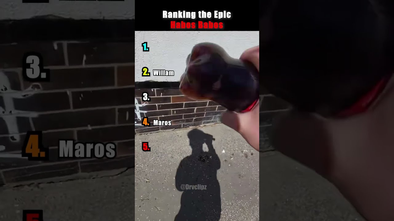 Ranking The Most Epic Habos Babos 