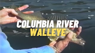Charlie White's Fishing Machine  Columbia River Walleye