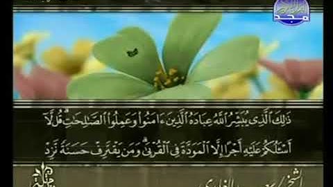 القرآن الكريم كاملا الجزء الخامس والعشرون 25 بصوت الشيخ سعد الغامدي