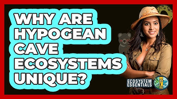 Why Are Hypogean Cave Ecosystems Unique? - Ecosystem Essentials
