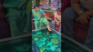 Fish pedicure first experience #funny#youtubeshorts #shortfeed #funnyvideo #viralshort #fish spa🤣