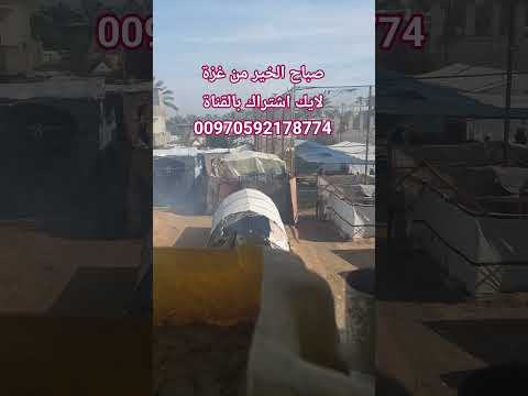 من غ زة صباح الخير الحمدلله الجو اليوم مشمس غزة اكسبلور